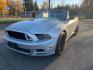 2013 SILVER /Grey Upholstery FORD MUSTANG CONVERTIBLE (1ZVBP8EM2D5) with an 3.7L engine, Automatic transmission, located at 1505 S 356th St., Federal Way, WA, 98003, 47.282051, -122.314781 - Reduced price, $10,460! Runs great and handles well even in rain! You will find this sporty Ford Mustang convertible leads the class in performance and refinement. The look is unmistakably Ford, the smooth contours and cutting-edge technology of this Ford Mustang V6 will definitely turn heads. Th - Photo#2